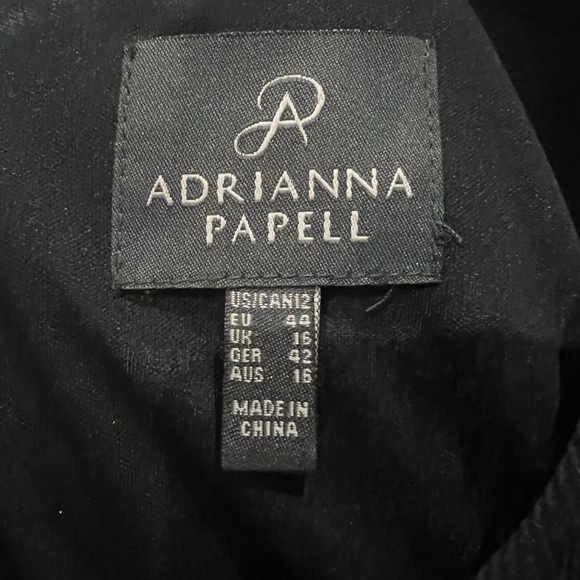 Adrianna Papell empire waist sheath dress with embroidered detail. Size 12. - Picture 6 of 7